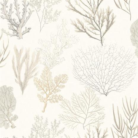 So White 4 Corail Beige - SWHT83971120 Tapetti