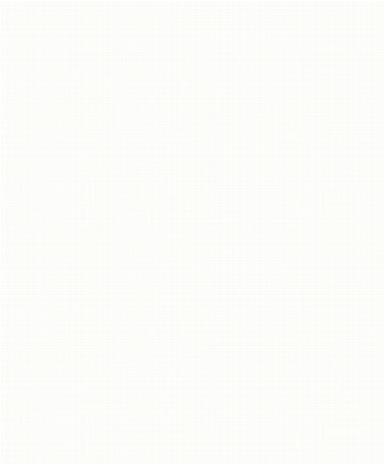 So White 4 Segment Blanc - SWHT83740101 Tapetti – kuva 1/3