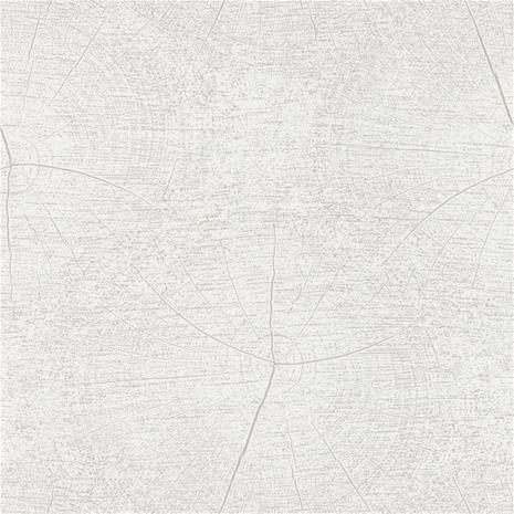 So White 4 Winter Blanc - SWHT83760101 Tapetti