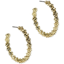 88061-07 PFG Sparkling Hoop Earrings 1 set