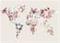 Juliste Worldmap flowers light – kuva 1