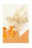 Juliste The Art of taste 8