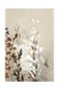 Juliste Light Leaves 8