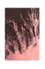 Juliste Pure Nature 3