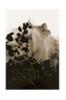 Juliste Silhouet Leaves 2