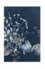 Juliste Pure Nature 7