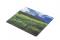 thumb35594075