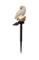 Aurinkokennokoriste Owl – kuva 1