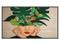 thumb36068433