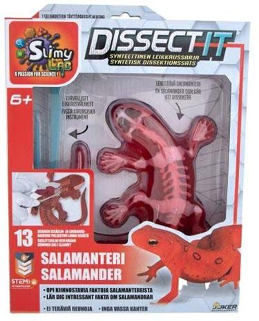 Dissect It Science Kit Salamander