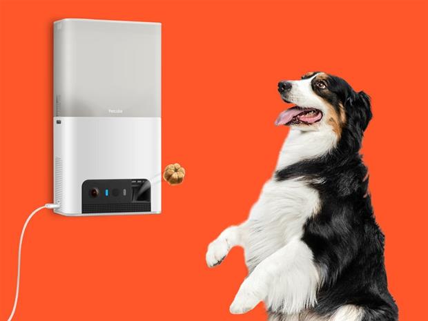 Petcube Bites 2 Lite kamera