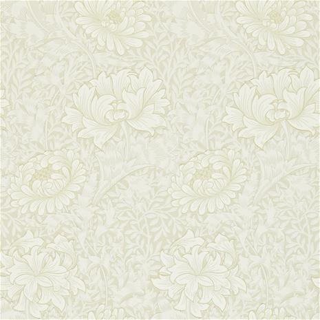 Chrysanthemum - 212546" "Tapetti