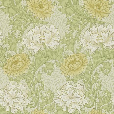 Chrysanthemum - 212545" "Tapetti