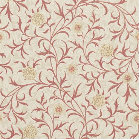 Scroll - 210364" "Tapetti