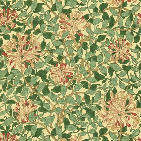 Honeysuckle Green/Coral Pink - DMC1HS102 Tapetti