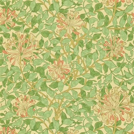 Honeysuckle Green/Beige/Pink - DMC1HS103 Tapetti – kuva 4/6