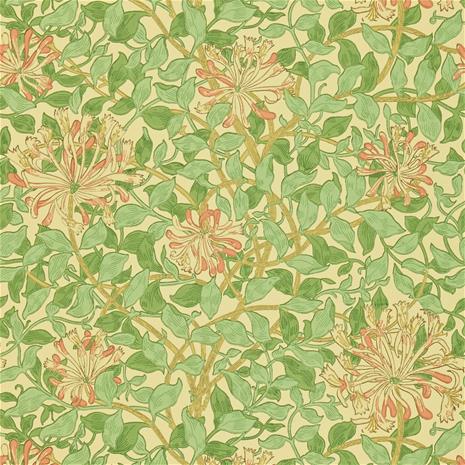 Honeysuckle Green/Beige/Pink - DMC1HS103 Tapetti – kuva 5/6
