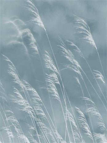 Waterfront - 300902 Tapetti – kuva 4/5