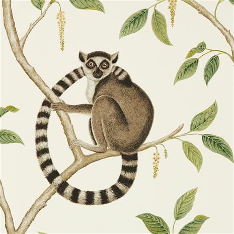 Ringtailed Lemur - 216664" "Tapetti