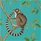 Ringtailed Lemur - 216663" "Tapetti – kuva 8