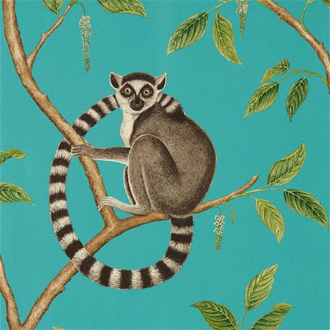 Ringtailed Lemur - 216663" "Tapetti
