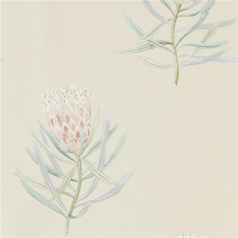 Protea Flower - 216329" "Tapetti