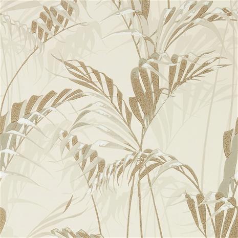 Palm House - 216644" "Tapetti