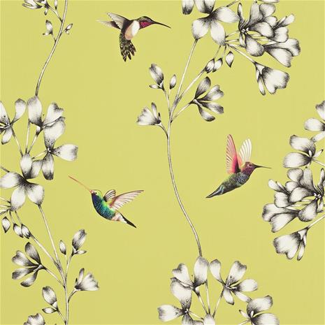 Amazilia - HAMA111061 Tapetti