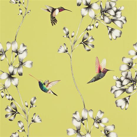 Amazilia - HAMA111061 Tapetti