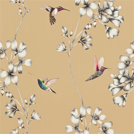 Amazilia - HAMA111063 Tapetti