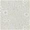 Maelee - 216349" "Tapetti – kuva 8