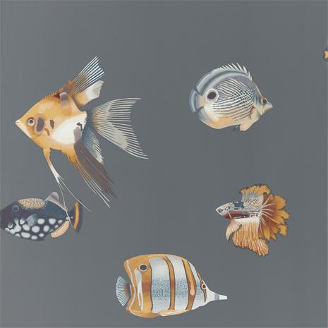 Kamanu - HANZ111648 Tapetti