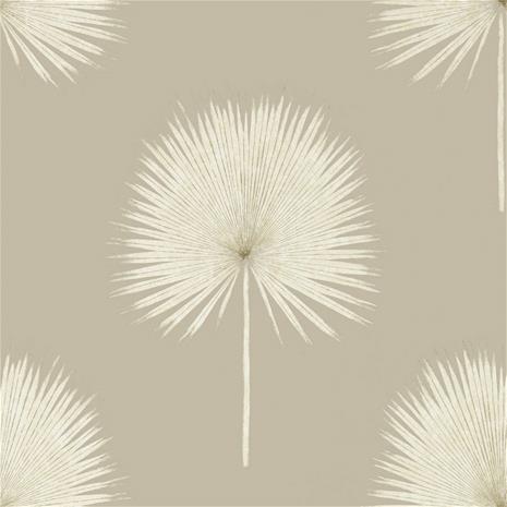 Fan Palm - 216637" "Tapetti
