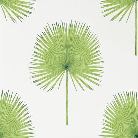 Fan Palm - 216636" "Tapetti