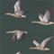 Elysian Geese - 216608" "Tapetti – kuva 7