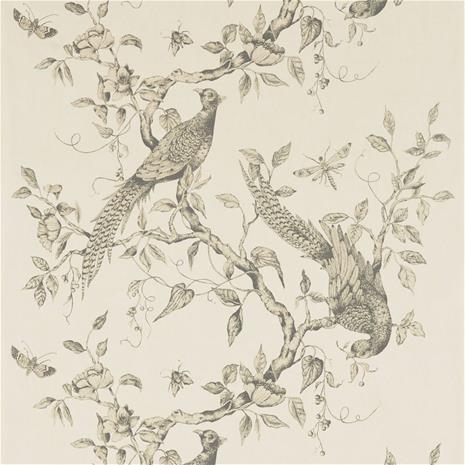 Darnley - ZDAR312848 Tapetti