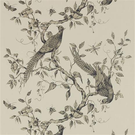 Darnley - ZDAR312849 Tapetti