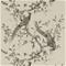 Darnley - ZDAR312849 Tapetti – kuva 5