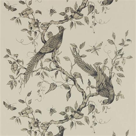 Darnley - ZDAR312849 Tapetti