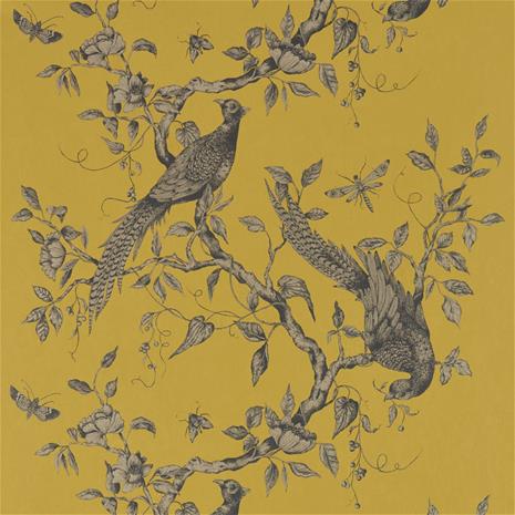 Darnley - ZDAR312884 Tapetti