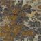 Richmond Park - ZDAR312858 Tapetti – kuva 6