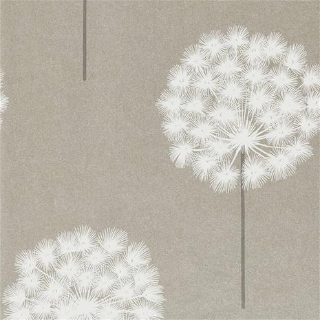Amity - HPUT111887 Tapetti