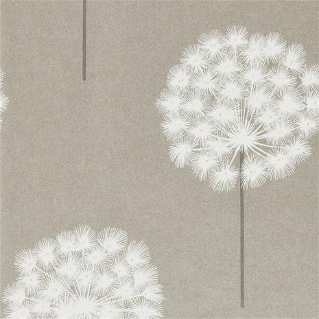Amity - HPUT111887 Tapetti