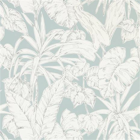 Parlour Palm - 112025" "Tapetti