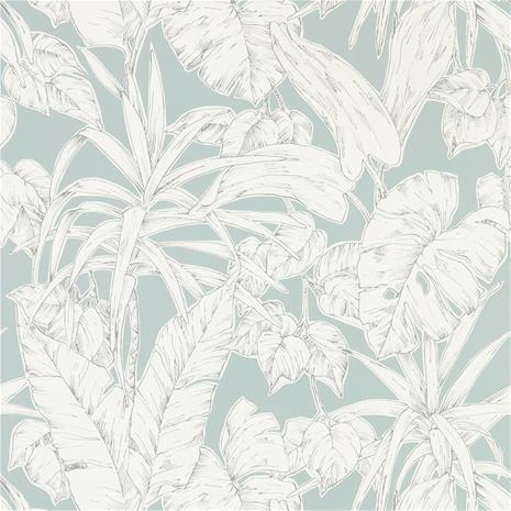 Parlour Palm - 112025" "Tapetti