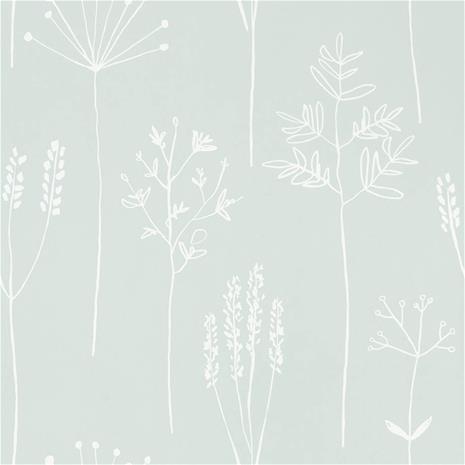 Stipa - 112020" "Tapetti