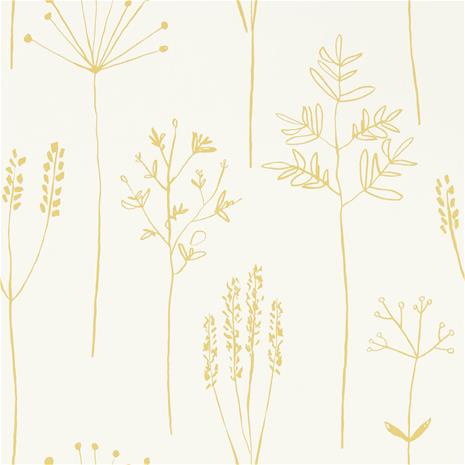 Stipa - 112021" "Tapetti
