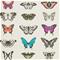 Papilio - HAMA111079 Tapetti – kuva 4