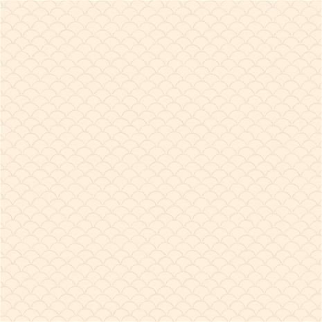 Borosan 21 - 8623 Tapetti