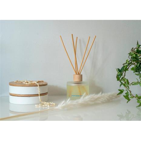 Washologi Reed Diffuser, tuoksutikut 225 ml